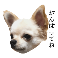 [LINEスタンプ] まっくのすたんぷ①