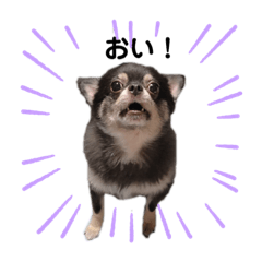 [LINEスタンプ] 仲良しハルとナツ