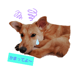 [LINEスタンプ] さくよさんの戯言