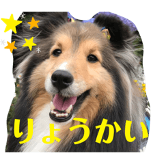 [LINEスタンプ] Winのスタンプです