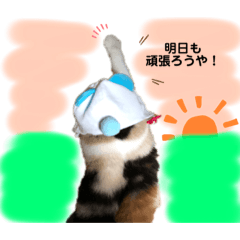 [LINEスタンプ] なっこたんの1日.part2