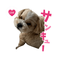[LINEスタンプ] コロコロコロッケ