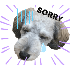 [LINEスタンプ] 愛犬ちゃんラブ②