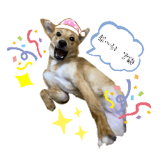 [LINEスタンプ] さくよさんの戯言2
