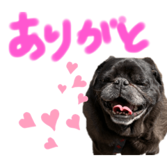 [LINEスタンプ] げん太くん