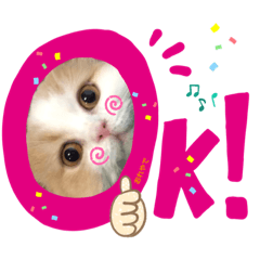 [LINEスタンプ] おちゃめna猫の日常
