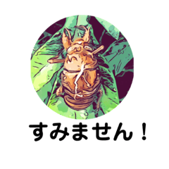 [LINEスタンプ] セミの羽化one