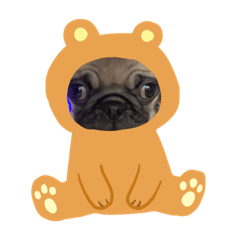 [LINEスタンプ] 買ってね笑おぱぐスタンプ