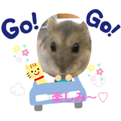 [LINEスタンプ] もちゅの日常