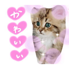 [LINEスタンプ] バロンスタンプ☆！part2