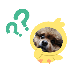[LINEスタンプ] チョコの可愛さ