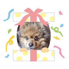 [LINEスタンプ] チョコ 色々な顔