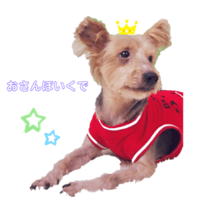 [LINEスタンプ] SCS＋Mの愉快な仲間たち①