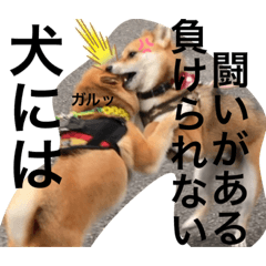 [LINEスタンプ] じゅじゅときんた②