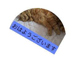 [LINEスタンプ] 挨拶希望