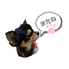 [LINEスタンプ] ちょるちょる