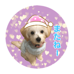 [LINEスタンプ] まろん＆きなこ