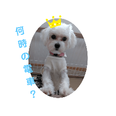[LINEスタンプ] COCOののんびり