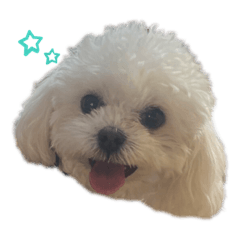 [LINEスタンプ] まる(お)