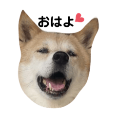 [LINEスタンプ] サカタとはなこともずく よく使うやつ