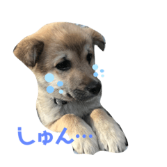 [LINEスタンプ] もっくんスタンプU´•ﻌ•`U