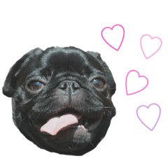 [LINEスタンプ] るにちゃん0歳10ヶ月