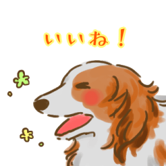 [LINEスタンプ] コイケルちゃん