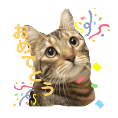 [LINEスタンプ] 【ジェネッタ】ベルくん
