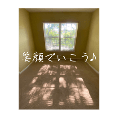 [LINEスタンプ] 窓から差し込む日差しのつぶやき