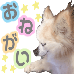[LINEスタンプ] らむ＆ろん