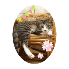 [LINEスタンプ] かぶみゅー