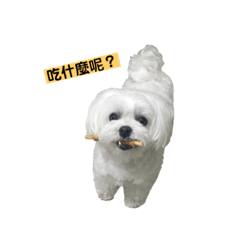 [LINEスタンプ] 可愛的瑪爾妮妮