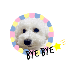 [LINEスタンプ] ぼーっとくぅちゃん