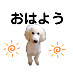 [LINEスタンプ] 小心者クリちゃんのスタンプ