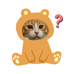 [LINEスタンプ] にゃんこnyanko
