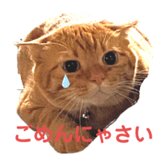 [LINEスタンプ] マロンと食べ物