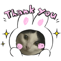 [LINEスタンプ] ほくろファミリー