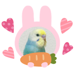 [LINEスタンプ] かわいいルイ君