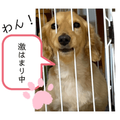 [LINEスタンプ] るーるるる＆ろーろろろ♪