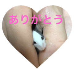 [LINEスタンプ] 千田デラックス