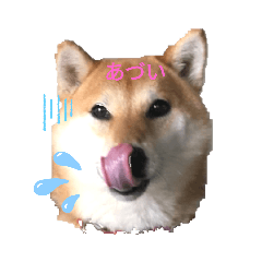 [LINEスタンプ] るな日記