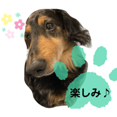 [LINEスタンプ] ぽてちのぽてぽてスタンプ
