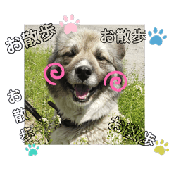 [LINEスタンプ] モコ＆つぶを