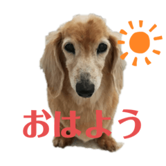 [LINEスタンプ] がっちゃんとももちゃんスタンプ2
