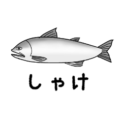 [LINEスタンプ] 全世界のしゃけを愛する人々へ