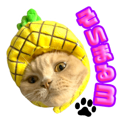 [LINEスタンプ] 毎日そいまる3