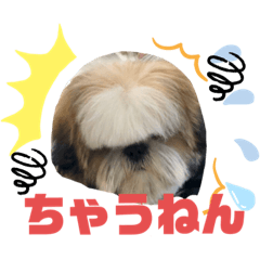 [LINEスタンプ] ハウくんスタンプNo.2