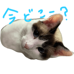 [LINEスタンプ] ててとぷう