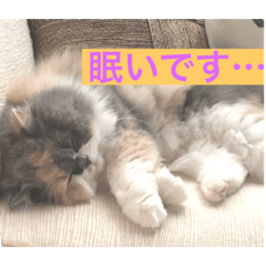 [LINEスタンプ] ふぅの助