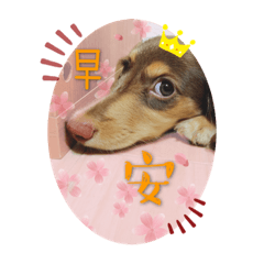 [LINEスタンプ] レイちゃん中国語版
